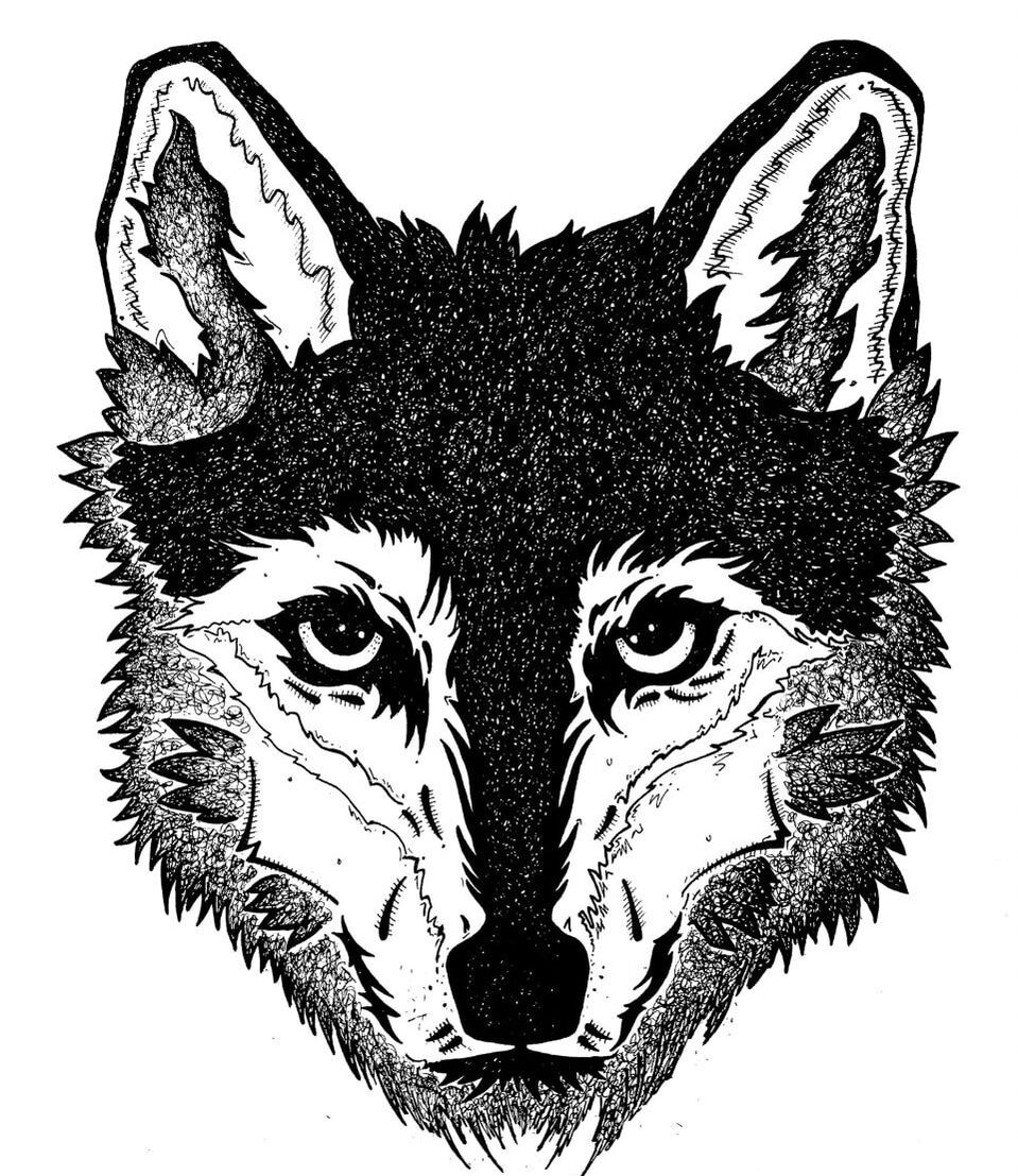 Hand-Drawn Wolf
